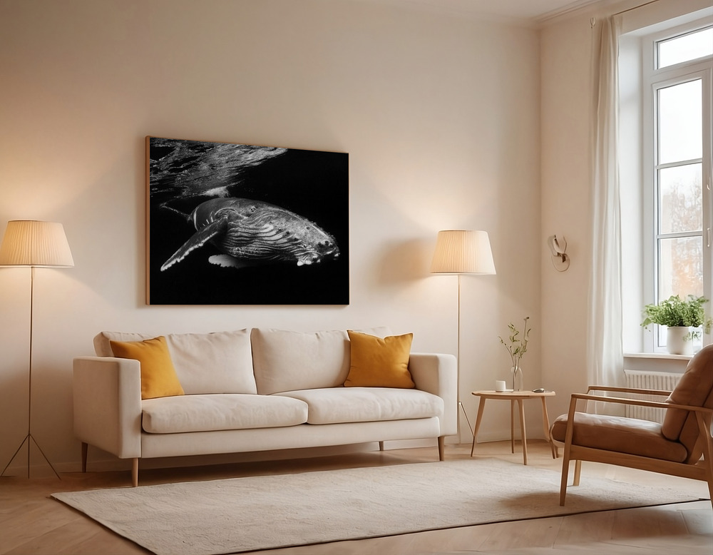 Stampe su tela - Humpback Whale calf over the sofa