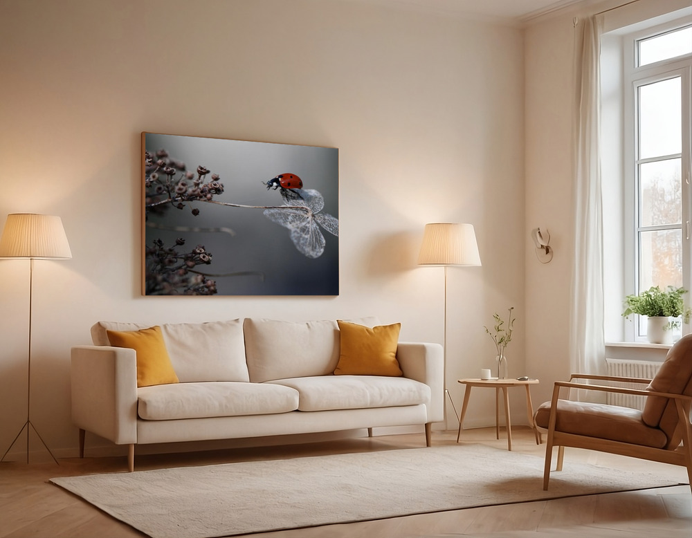 Canvas print - Ladybird on hydrangea. over the sofa