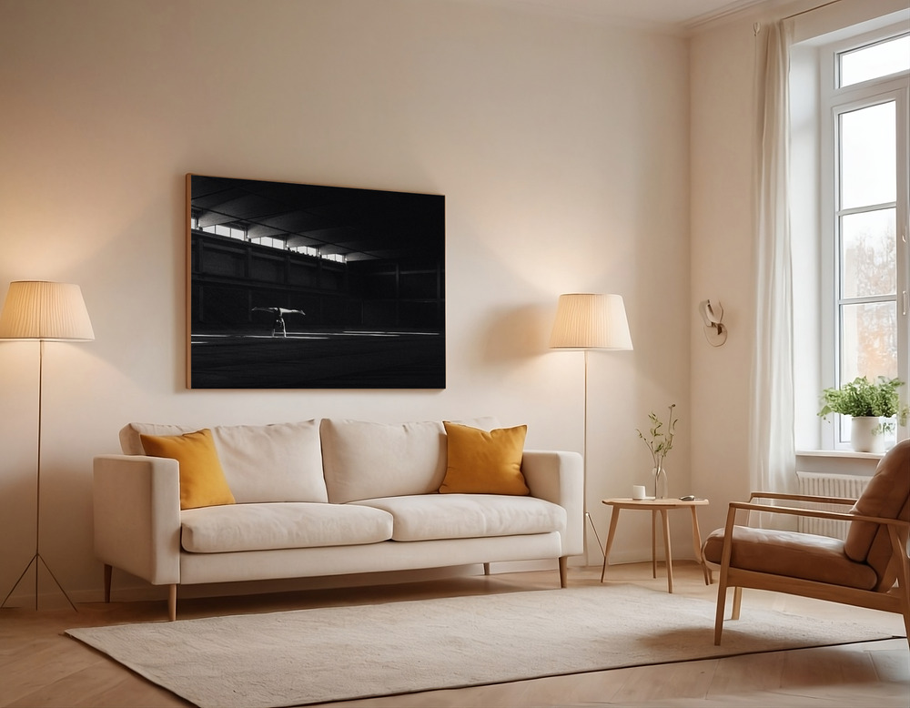 Stampe su tela - Ballando nella luce over the sofa