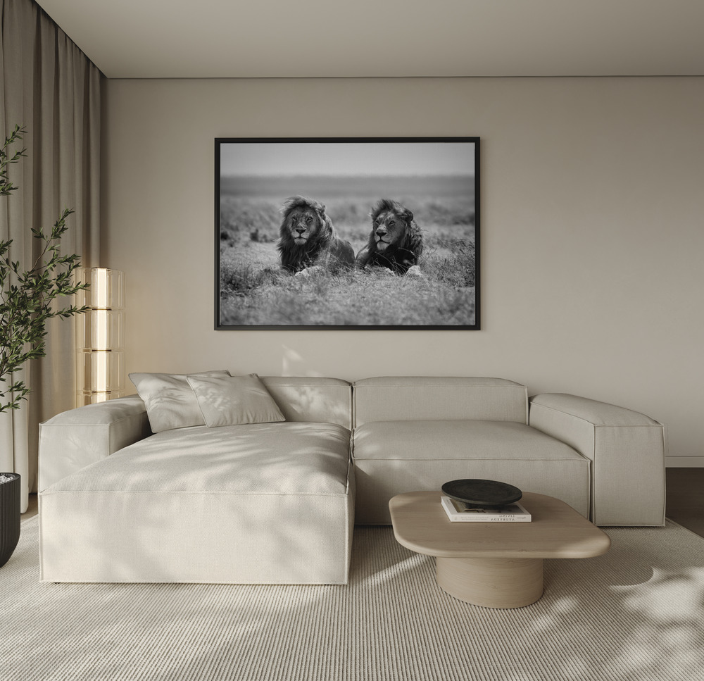 Canvas print - Two kings over the sofa