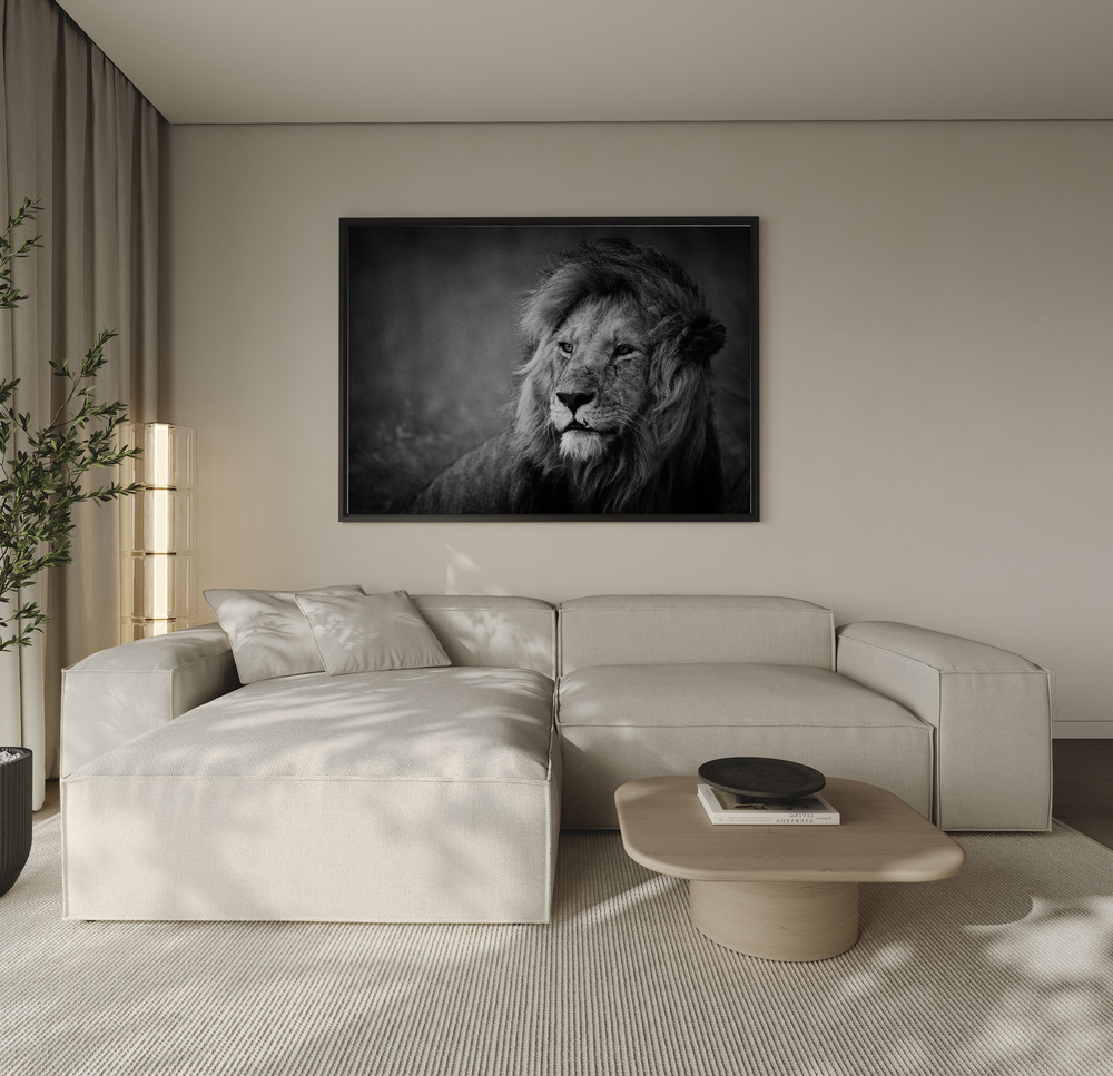 Canvas print - Regal over the sofa