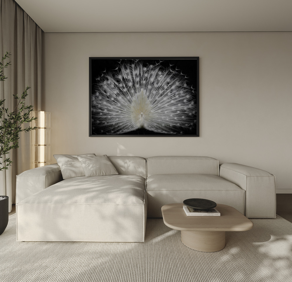 Canvas print - Black and white, over the sofa