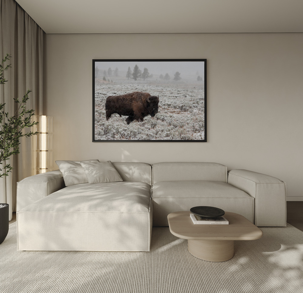 Canvas print - Late Fall Yellowstone over the sofa