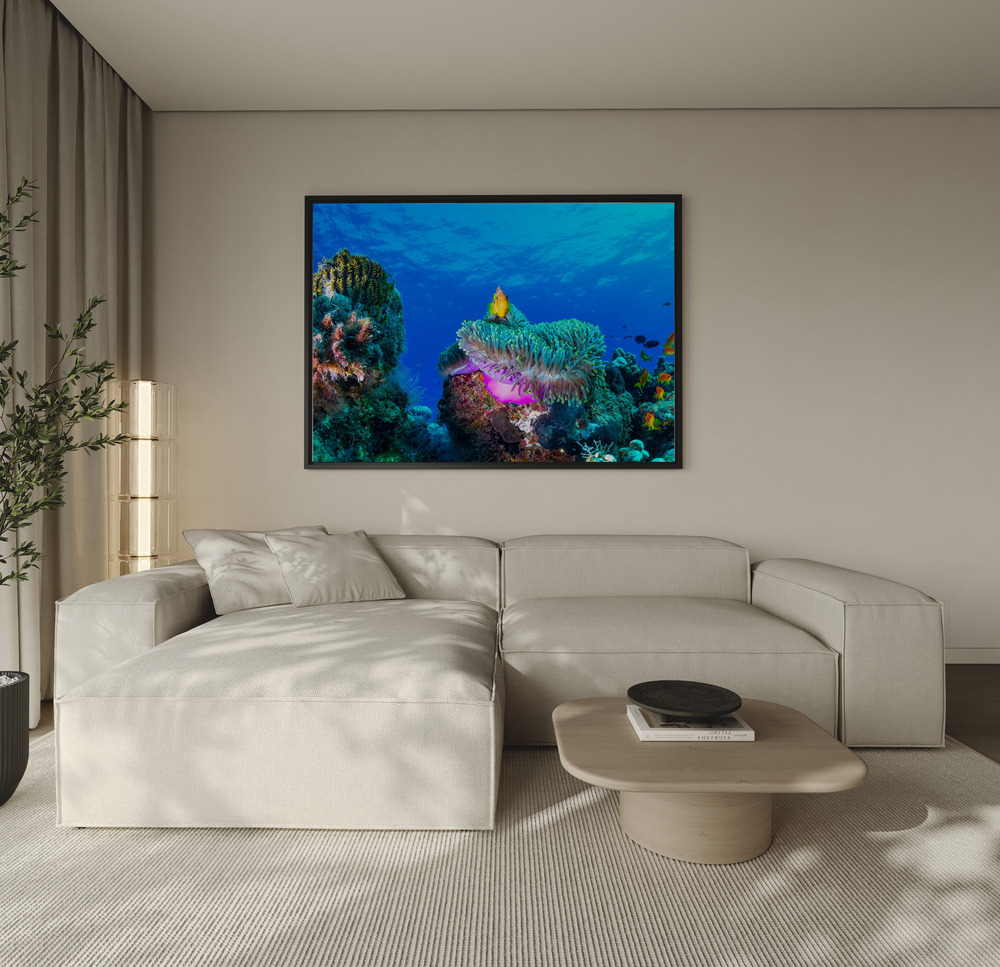 Canvas print - Sea life over the sofa