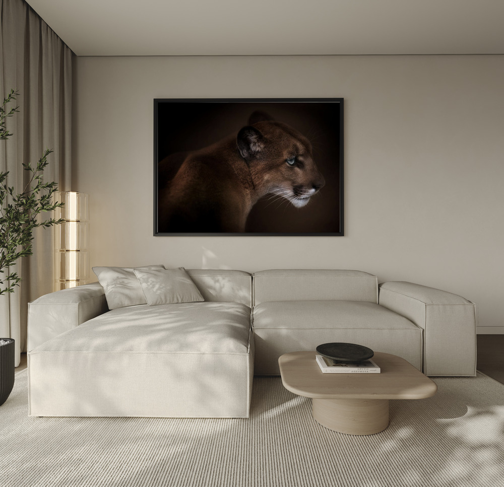 Canvas print - Puma over the sofa