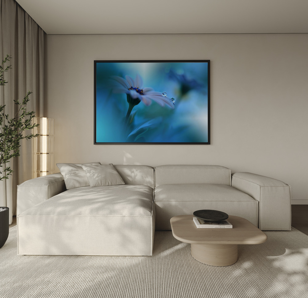 Canvas print - Beyond the Visible... over the sofa