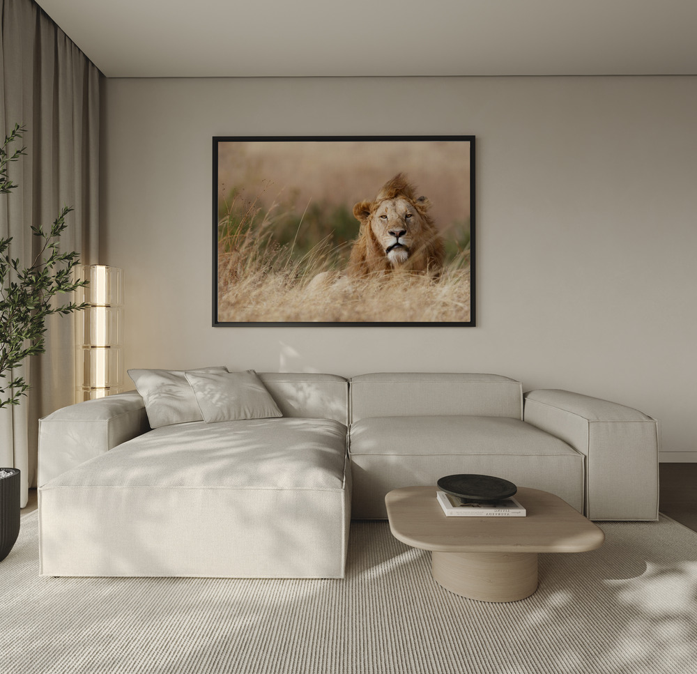 Canvas schilderi - Handsome! over de bank