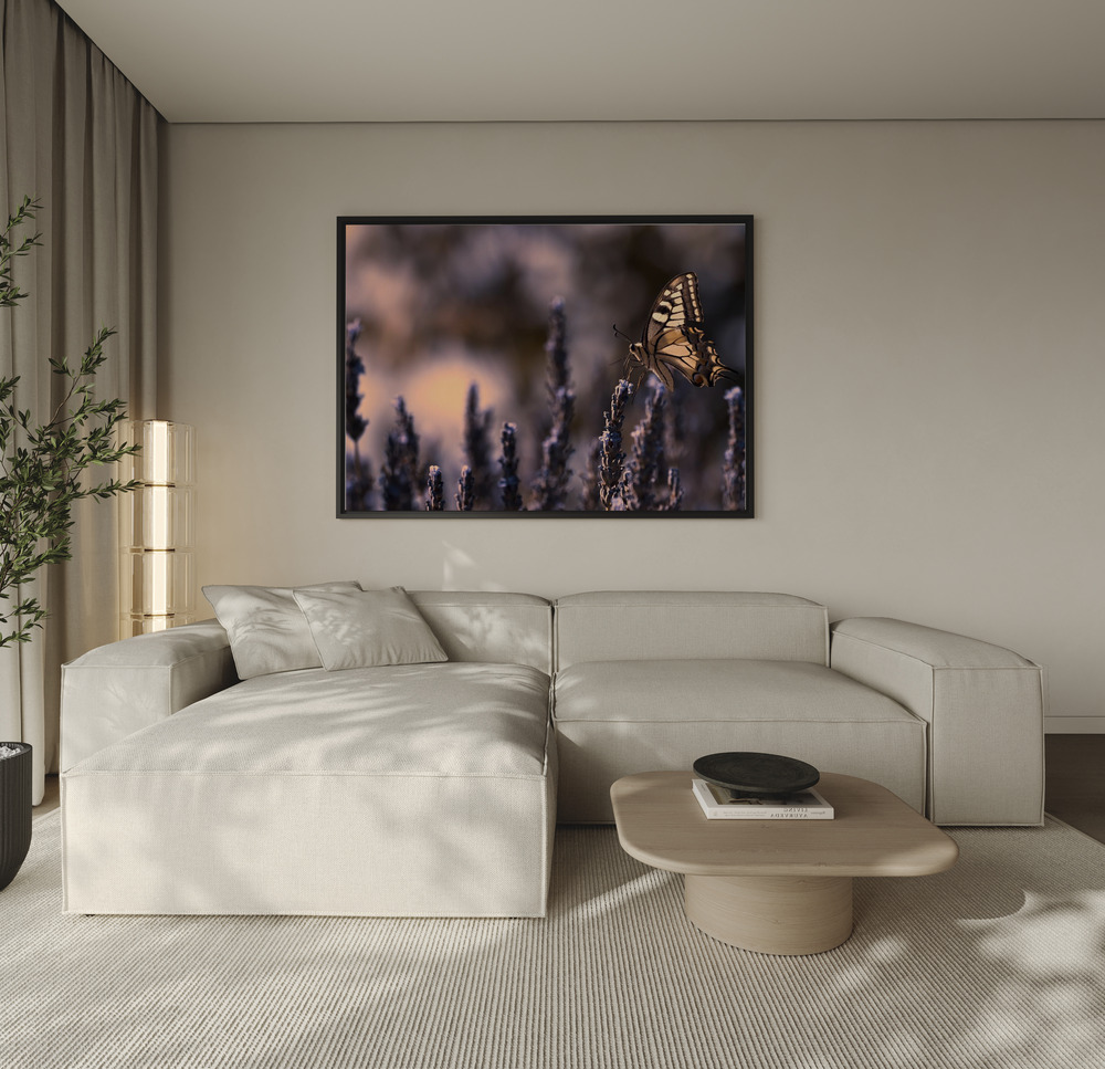 Canvas print - Juste effleurée over the sofa