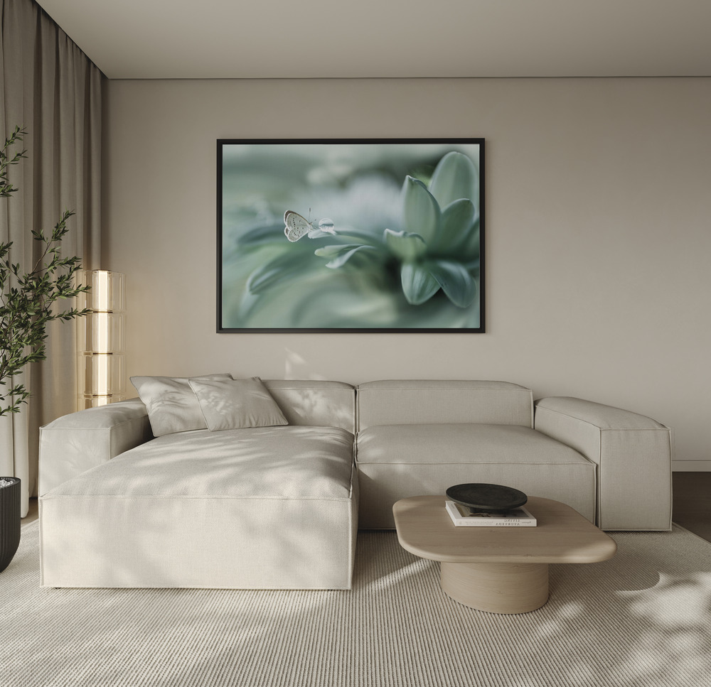 Canvas print - bola ajaib over the sofa