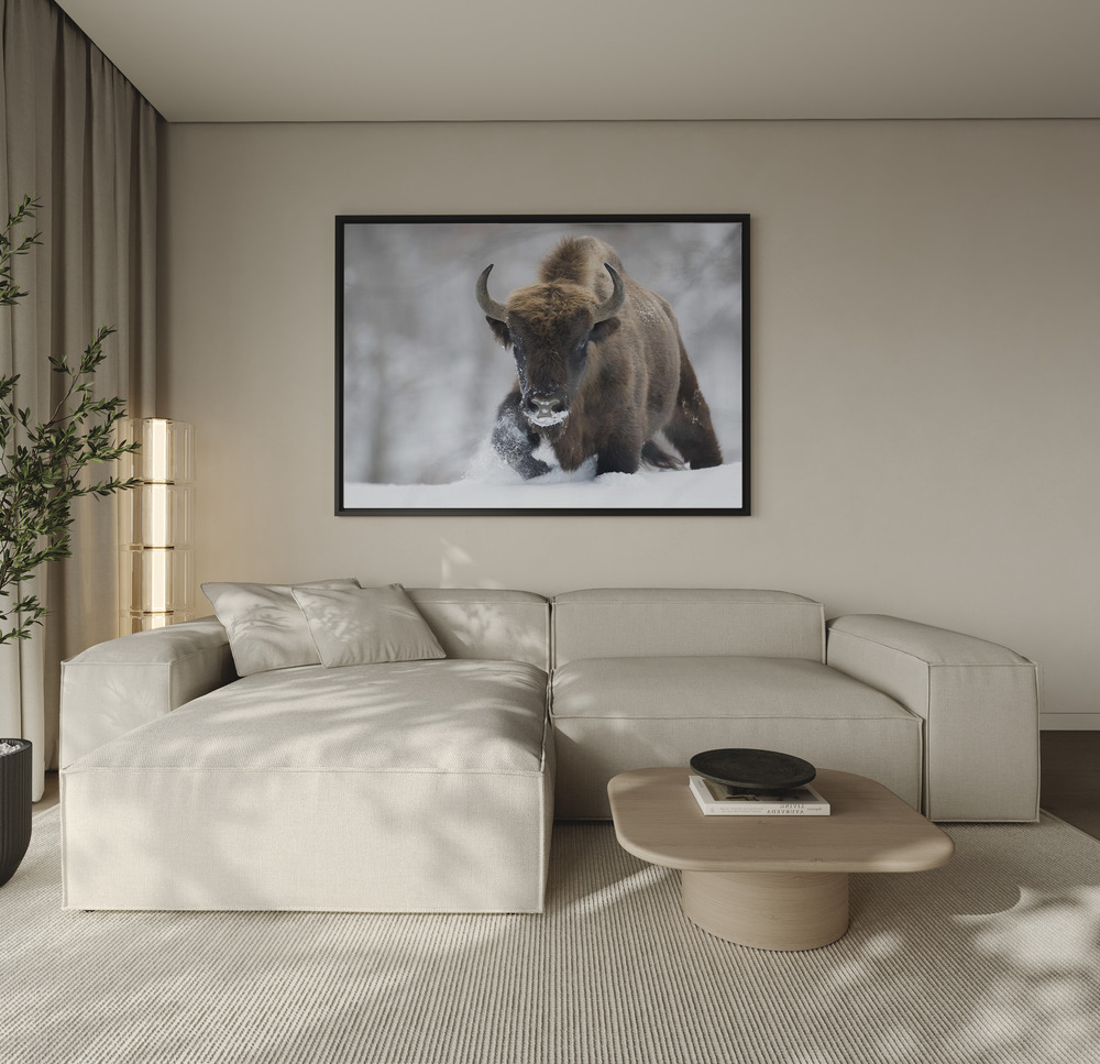 Canvas print - Rewilded over the sofa