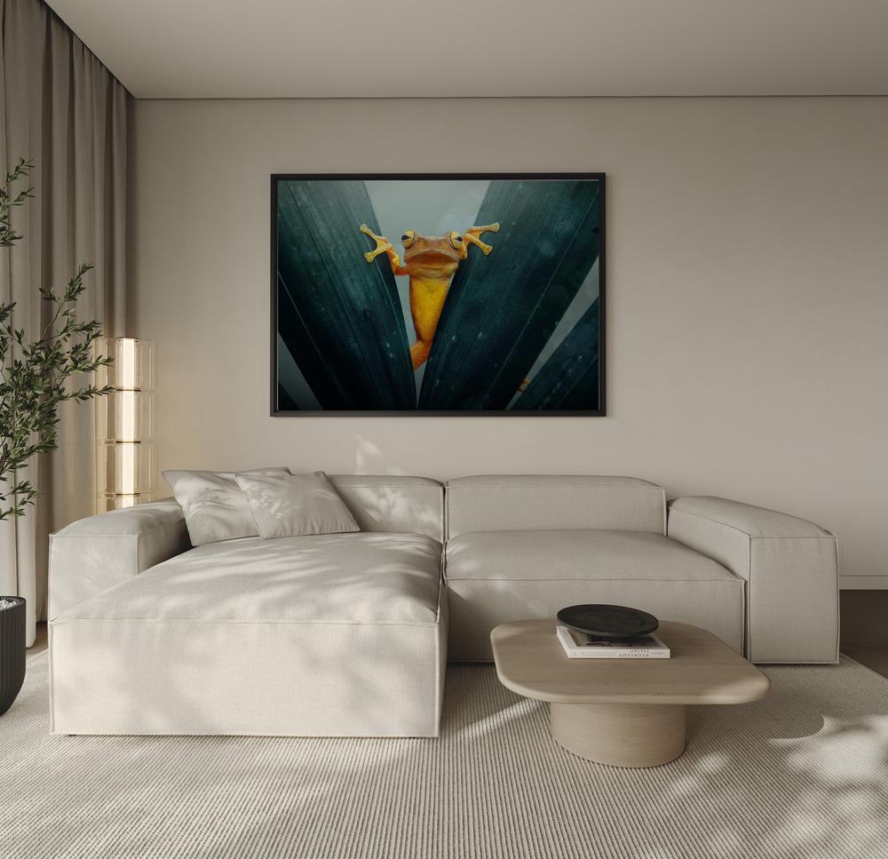 Canvas print - Gold Frog over the sofa