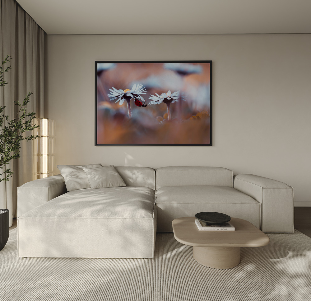 Canvas schilderi - Lady Daisy over de bank
