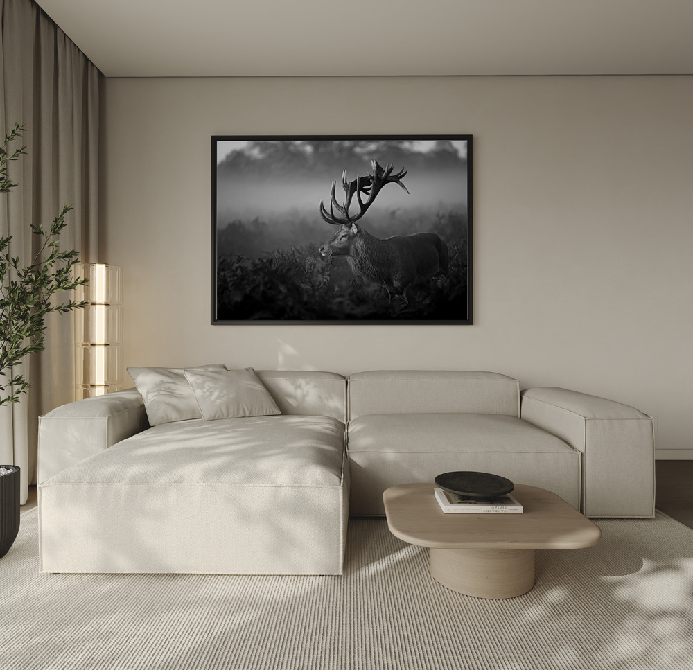 Canvas schilderi - Sunny Morning over the sofa
