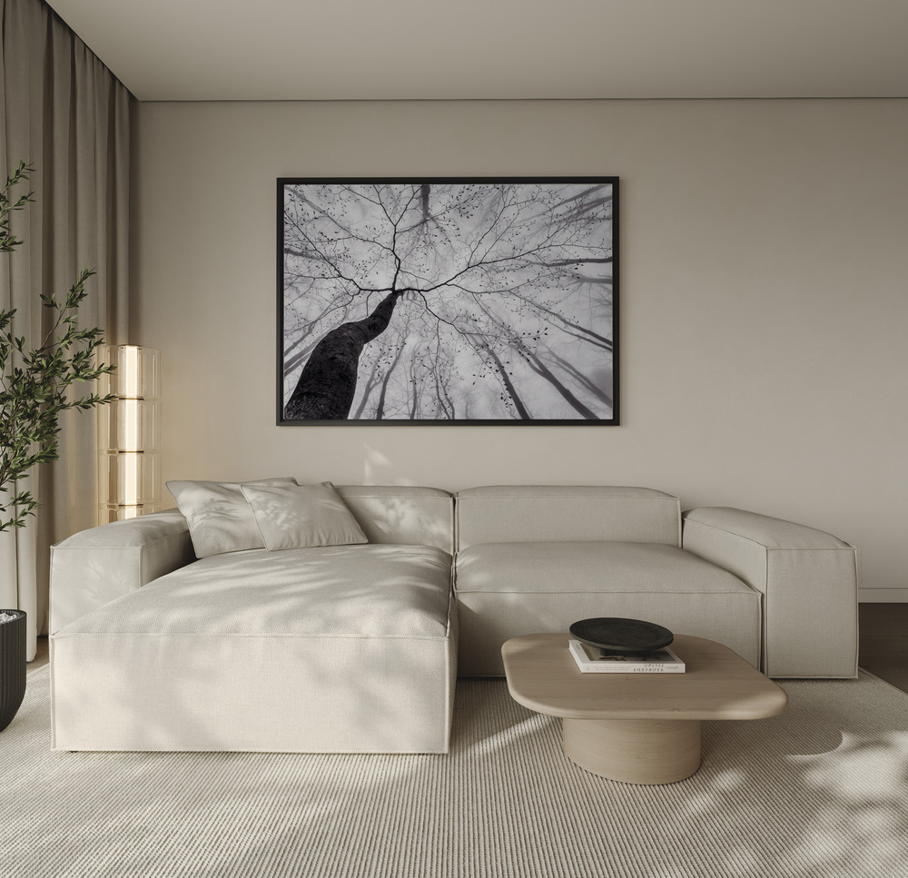 Canvas print - A view of the tree crown over the sofa