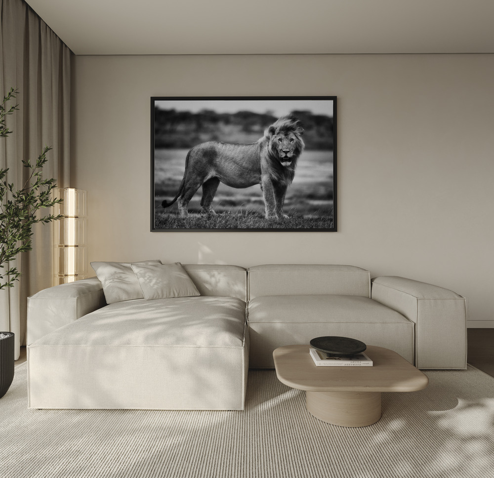 Canvas print - Royal Pose over the sofa