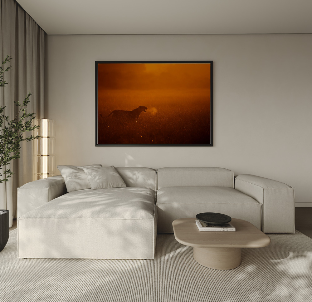 Canvas print - Puff over the sofa