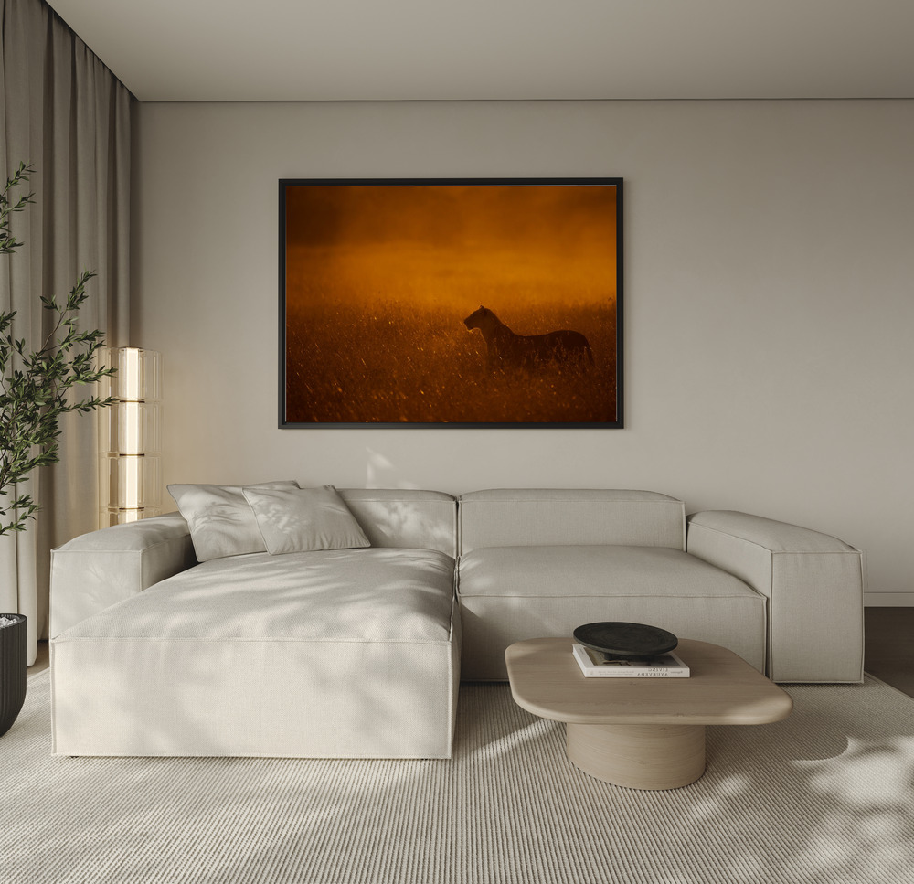 Canvas print - Gold Dust over the sofa