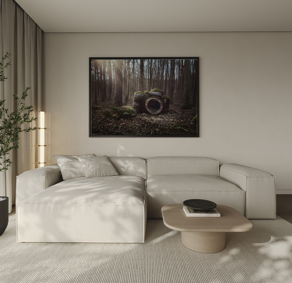 Canvas print - Lost over the sofa