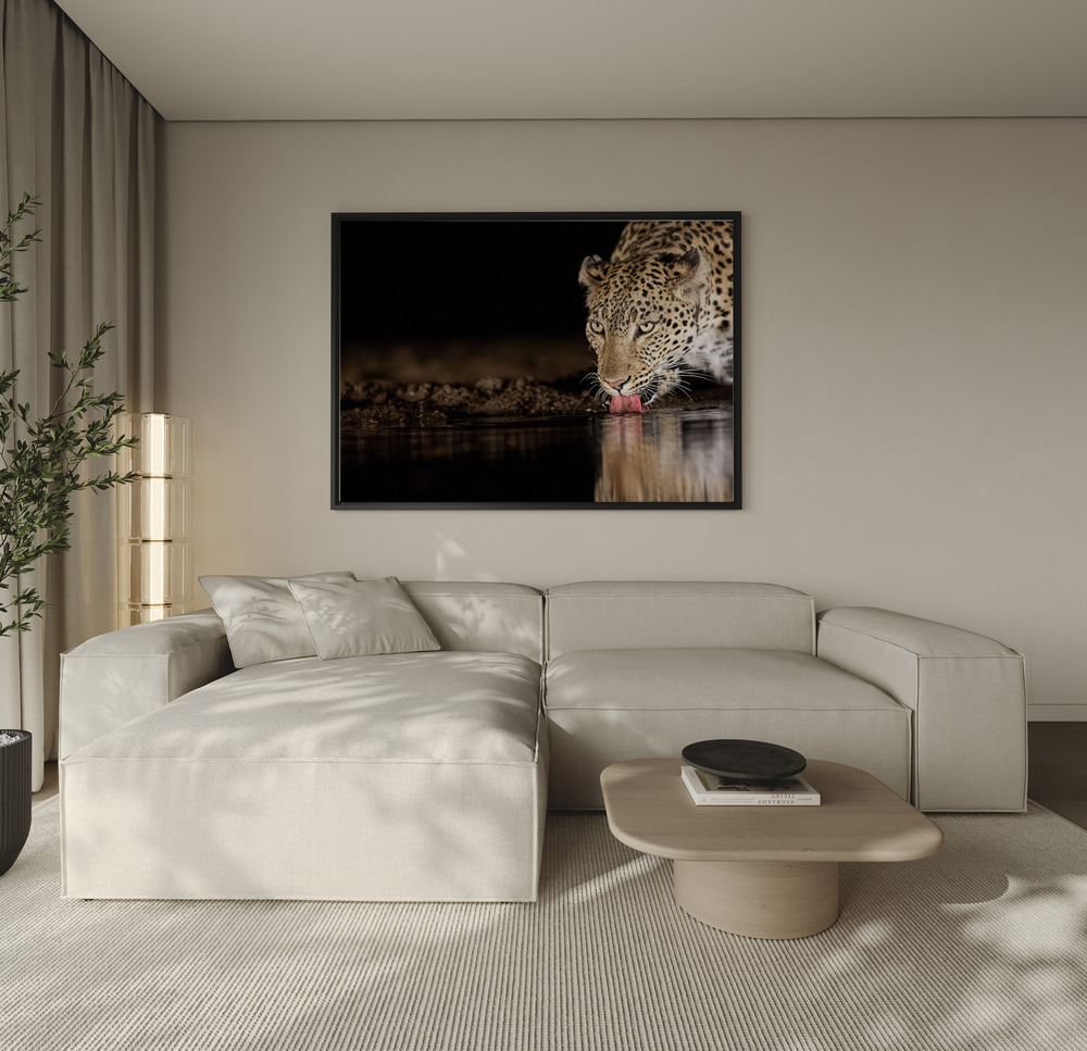 Canvas schilderi - Eye of the tiger over de bank