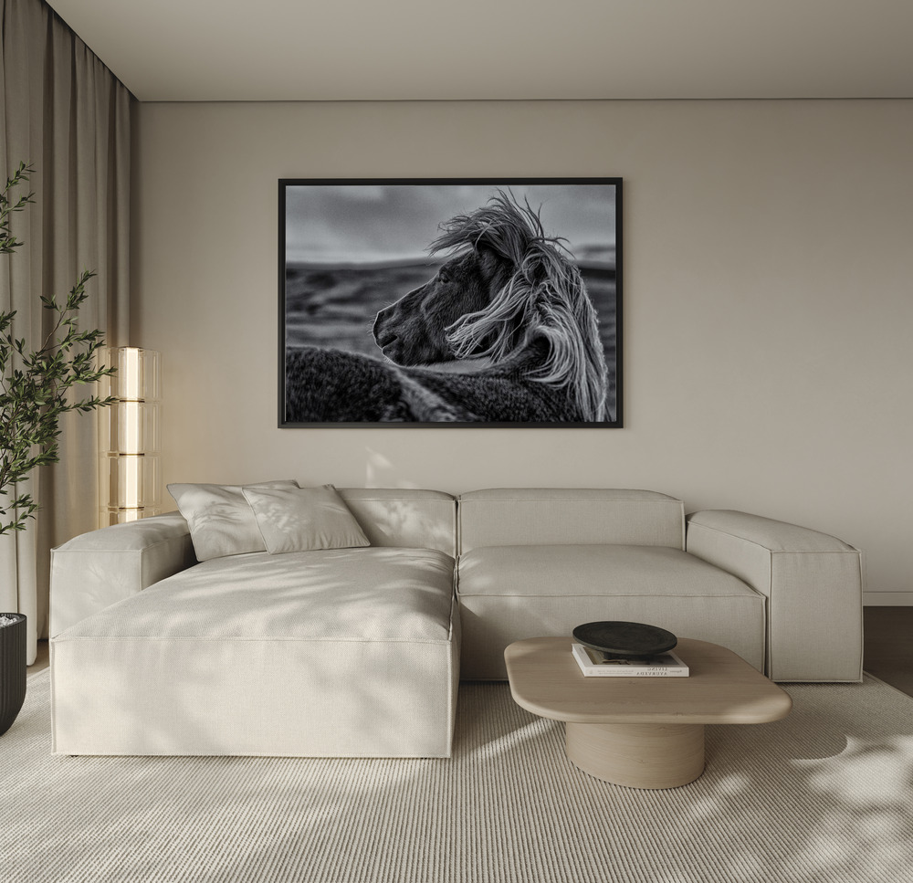 Canvas taulu - Glance Back sohvan yli