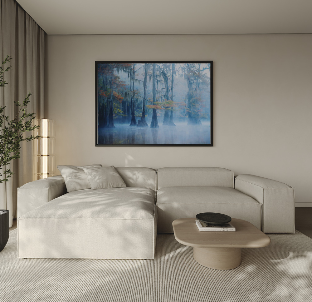 Canvas print - Foggy Swamp Morning over the sofa