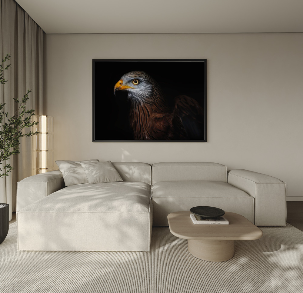 Canvas schilderi - Red kite portrait II over de bank