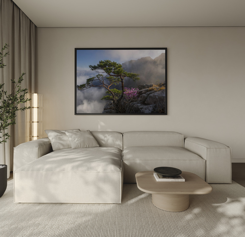 Canvas print - Dream dancer over the sofa