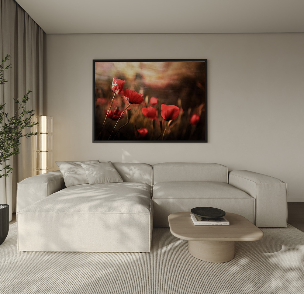 Canvas print - morning air over the sofa