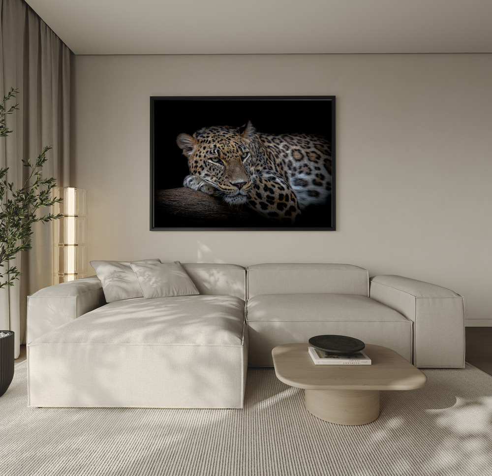 Canvas print - Leopard resting over the sofa