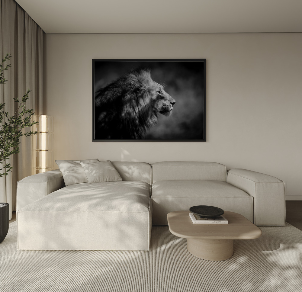 Canvas print - The Male over the sofa