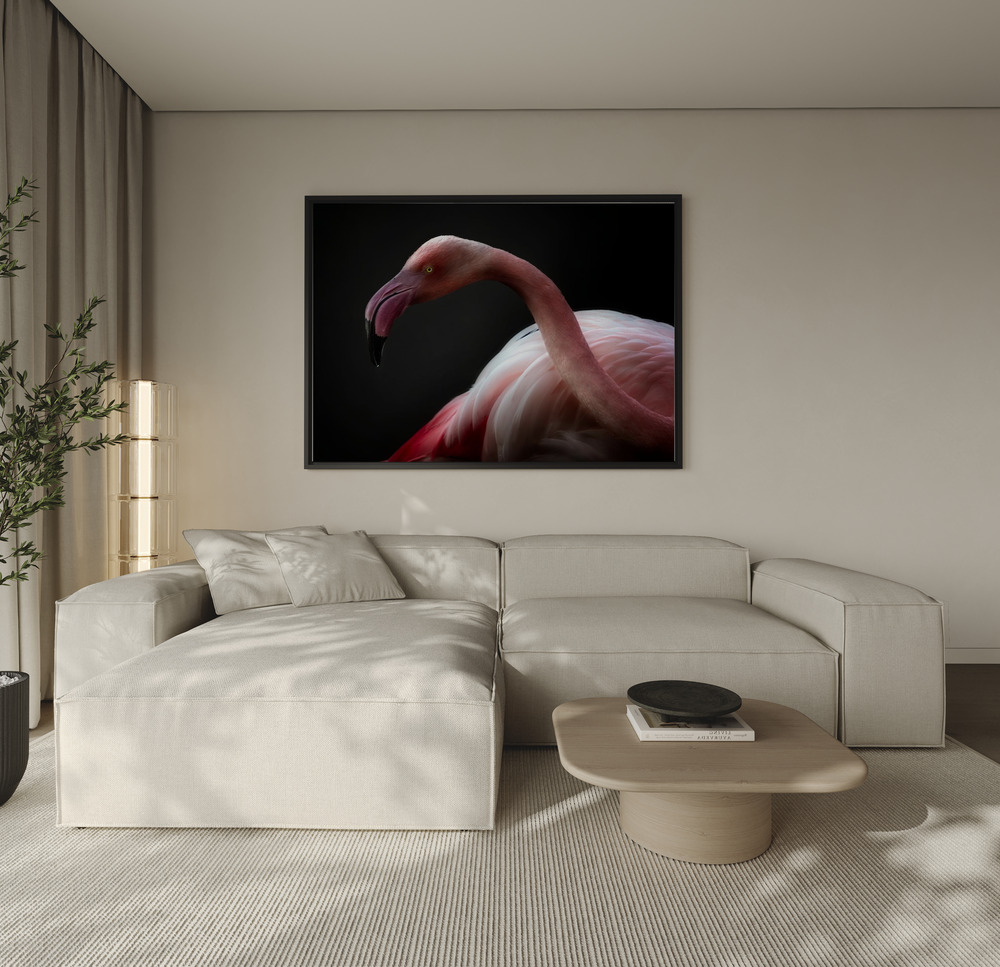 Obraz na płótnie - Flamingo portrait nad sofą