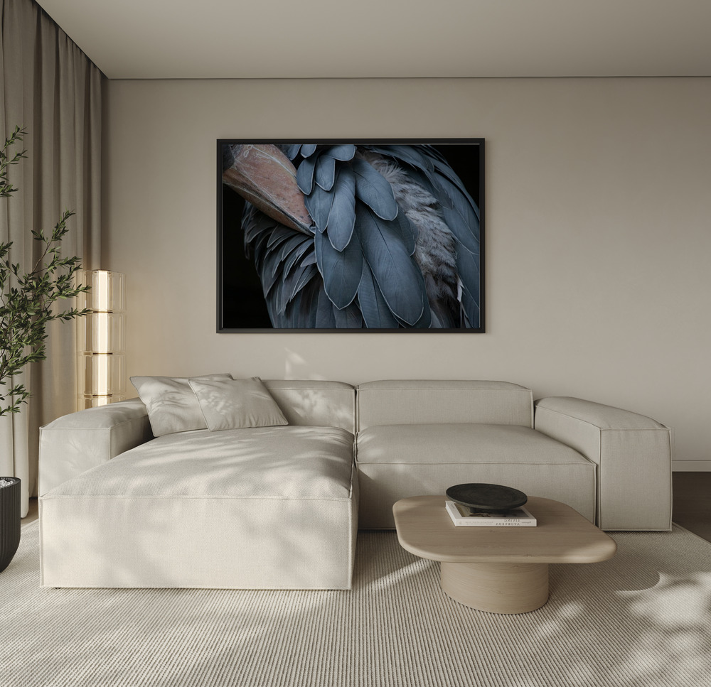 Canvas print - Feather over the sofa