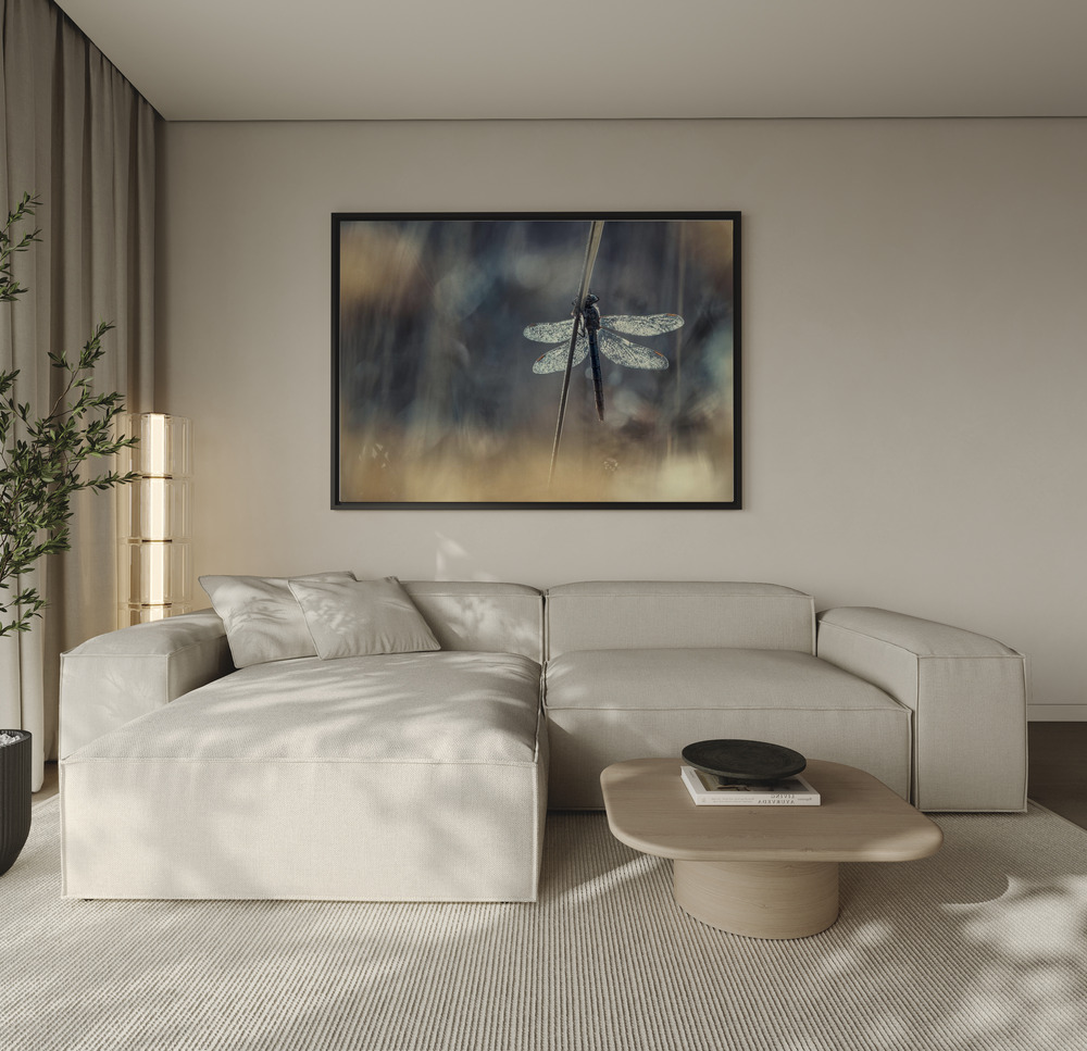 Canvas taulu - Wings sohvan yli