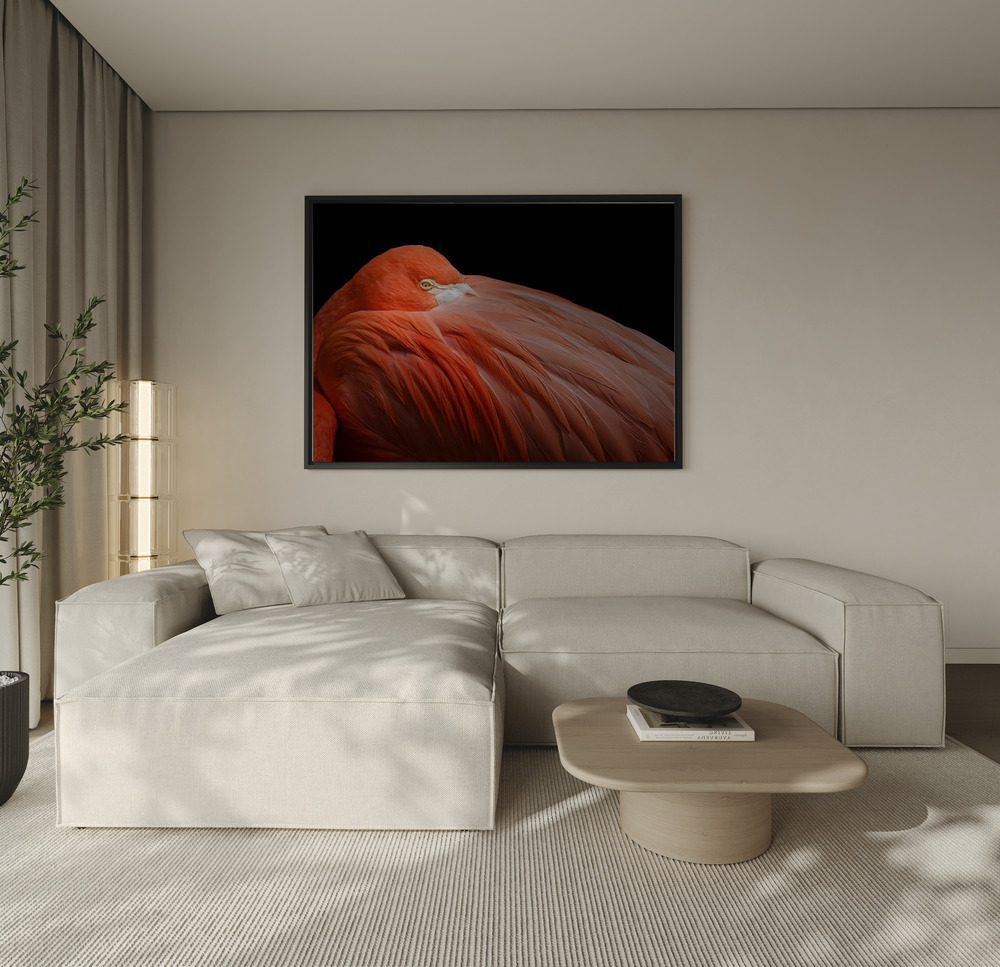 Canvas taulu - Crimson Plume Solace sohvan yli