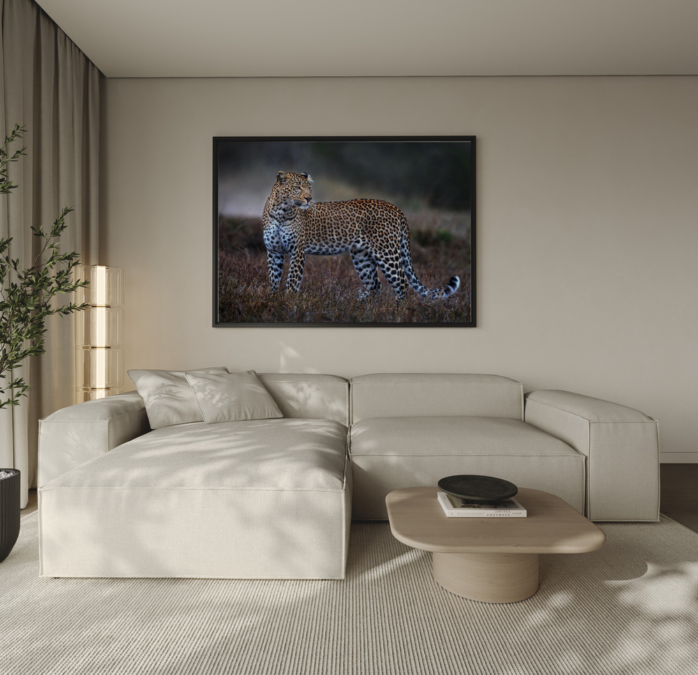 Canvas print - Leopard on the prowl over the sofa