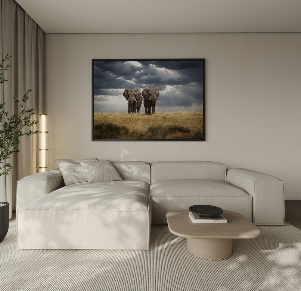 Canvas print - Brothers over the sofa