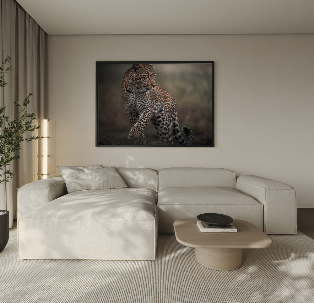 Canvas print - Surprise over the sofa