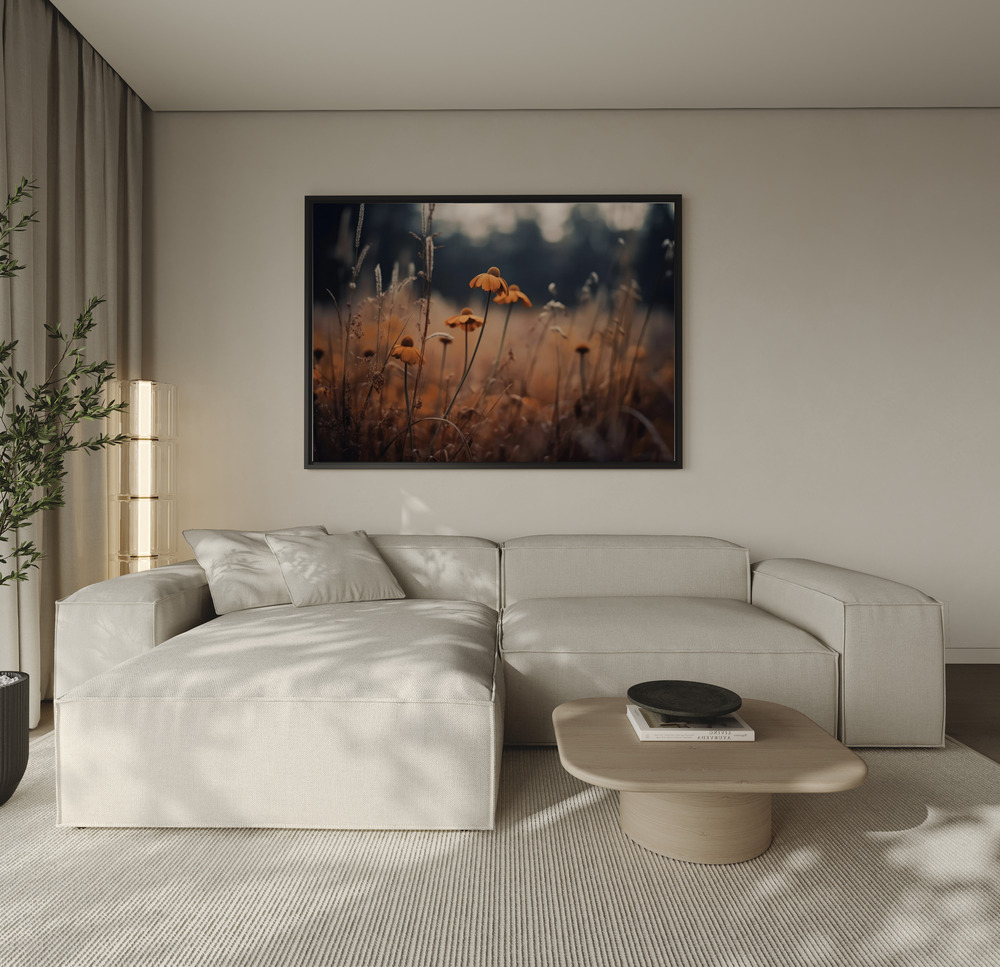 Canvas print - Orange Margarites over the sofa