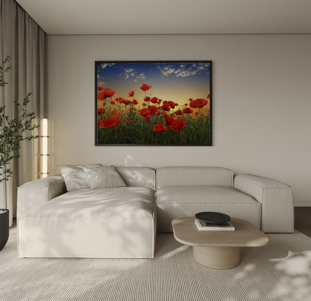 Canvas schilderi - Poppies over de bank