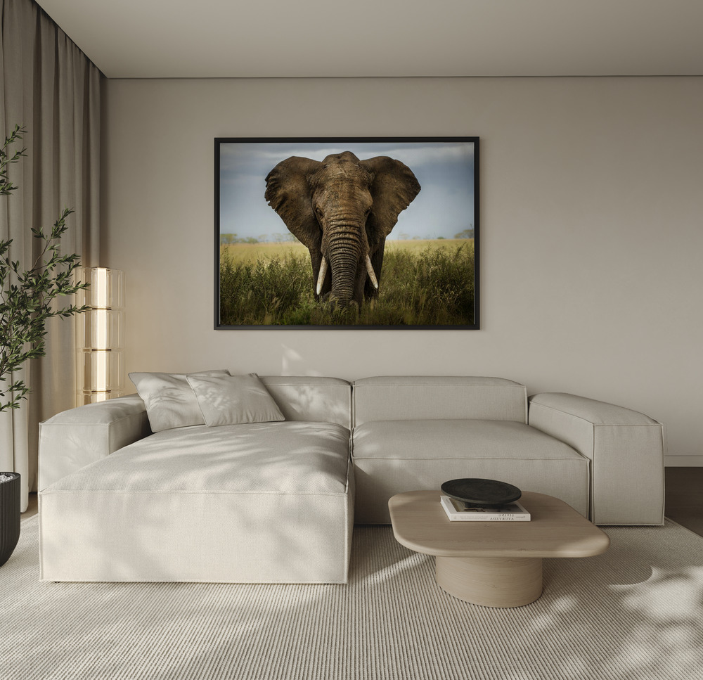 Stampe su tela - Encounters in Serengeti over the sofa