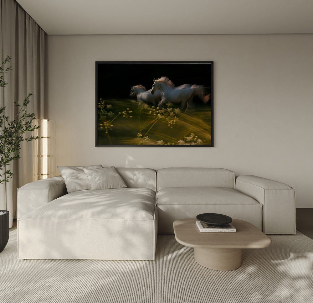 Canvas schilderi - Duel over de bank