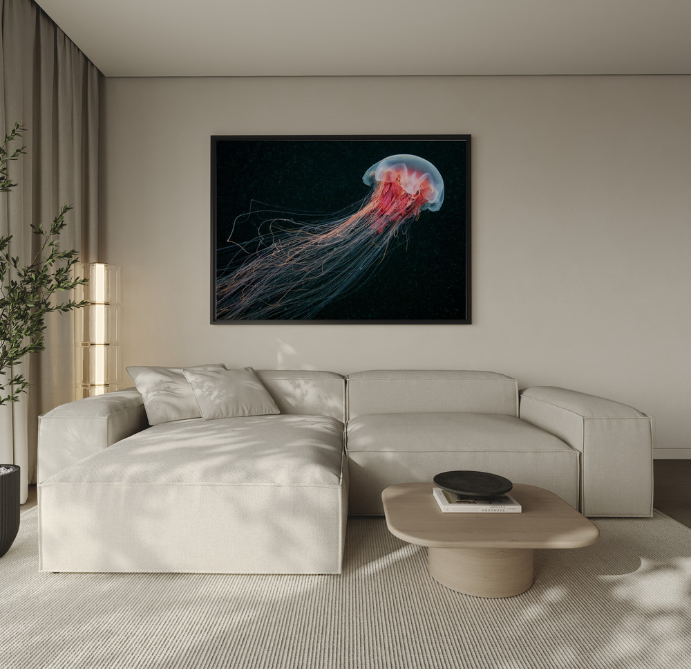 Canvas print - Longtail over the sofa