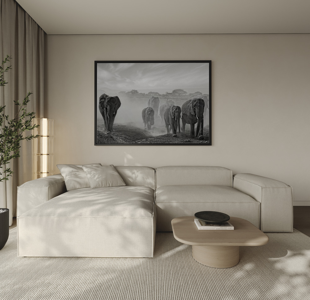 Lienzo - Sequence of emotion over the sofa