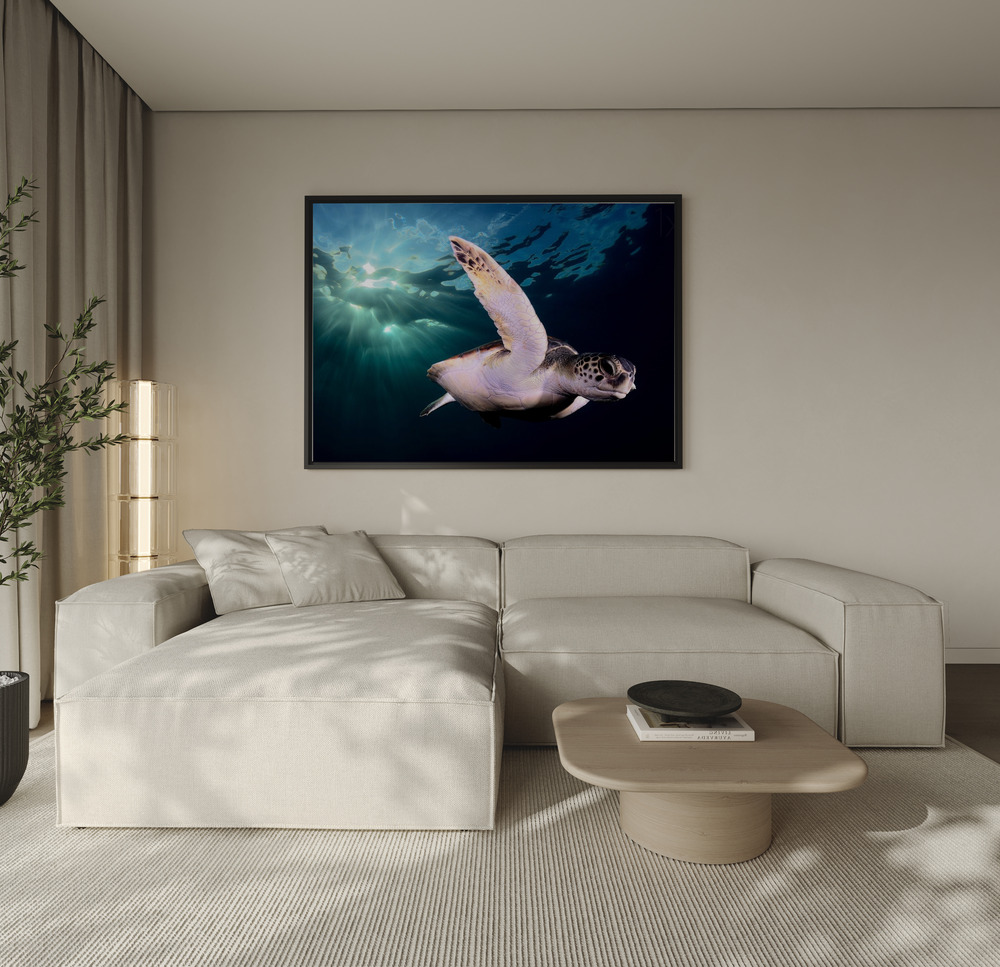 Canvas print - Afternoon over the sofa