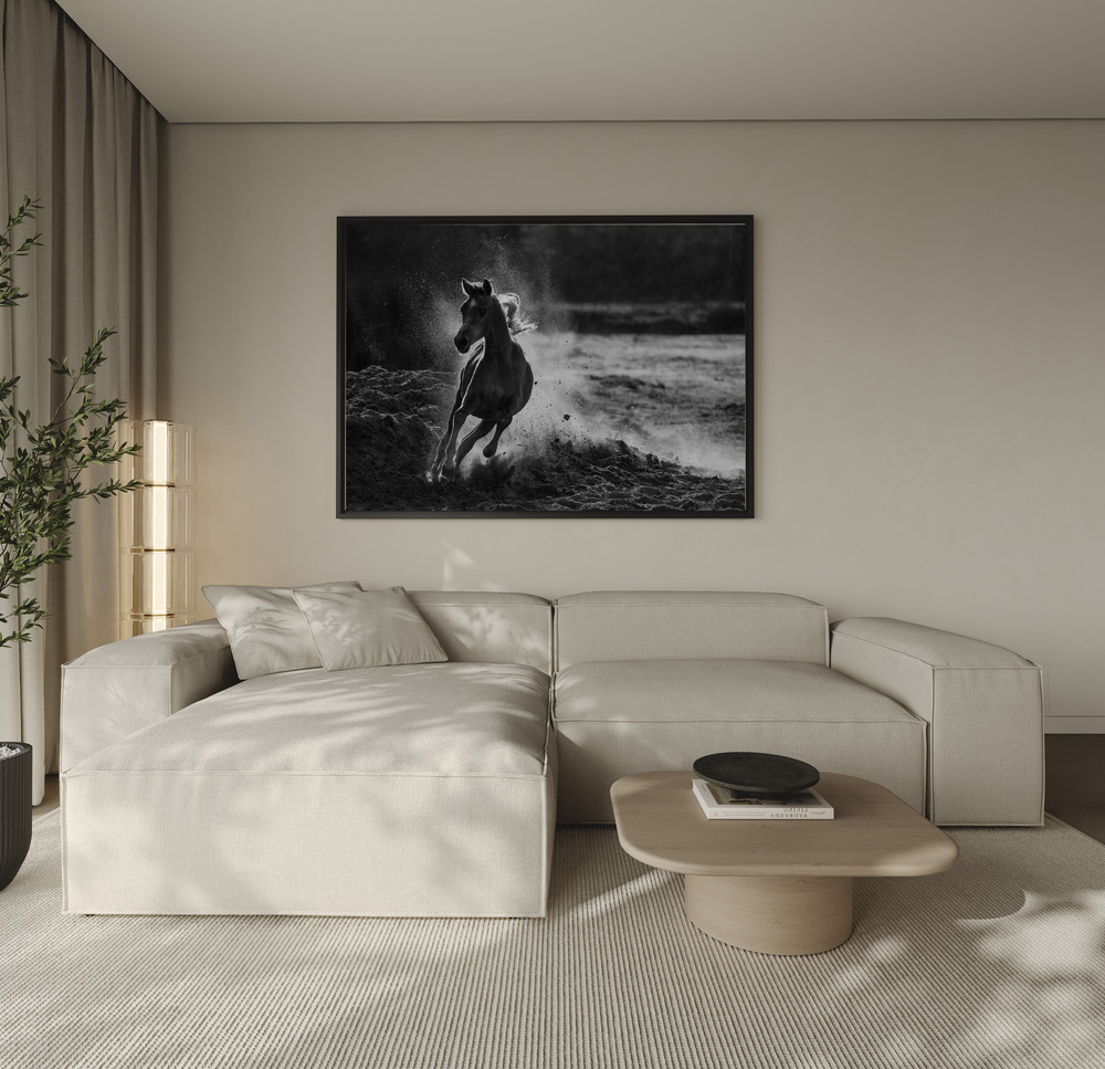 Canvas print - Take off over the sofa