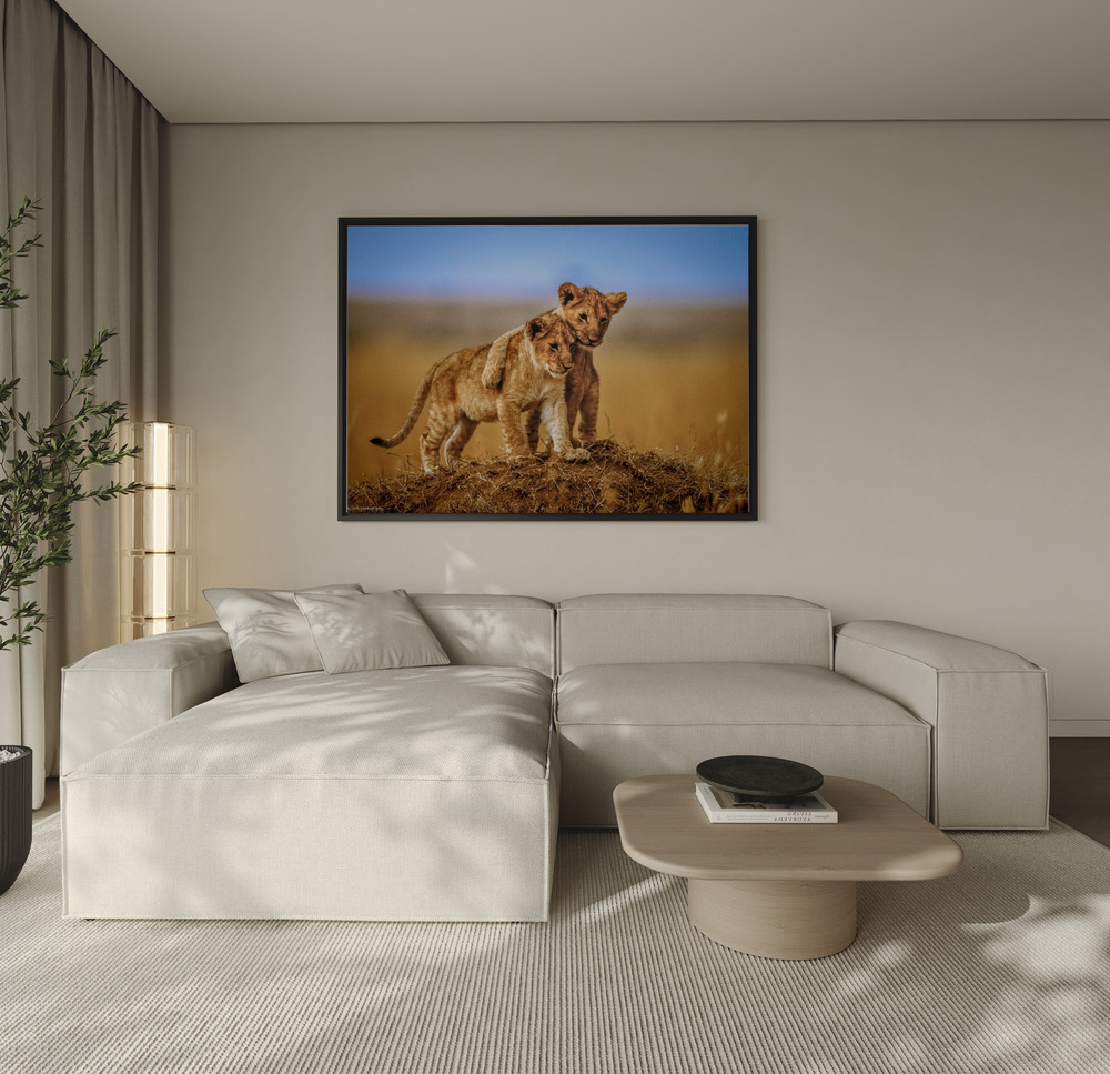 Canvas schilderi - Brothers for Life over de bank