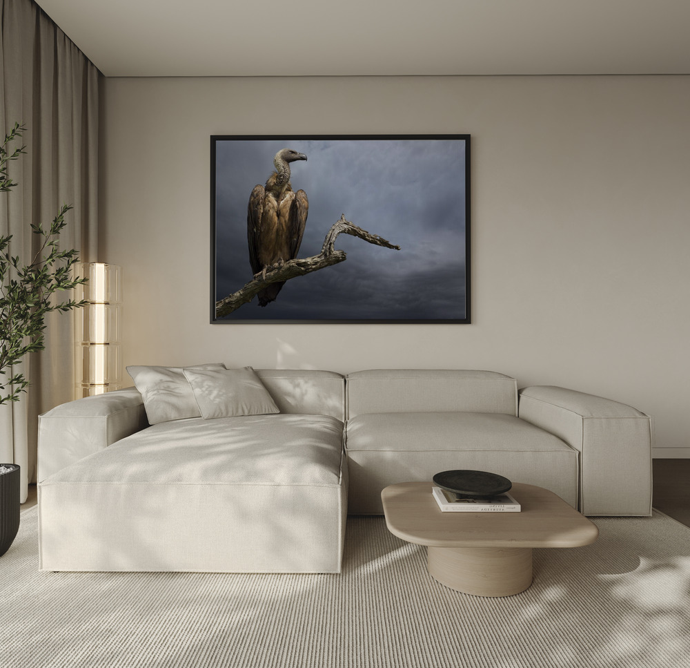 Canvas schilderi - The Vulture over de bank