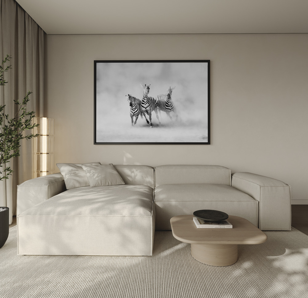 Canvas print - ZEBRAS over the sofa