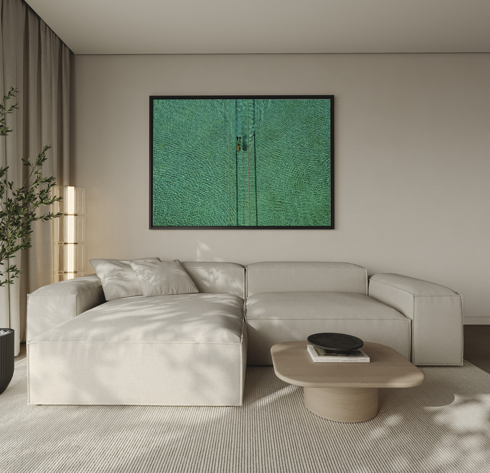 Canvas print - Swimmer over the sofa