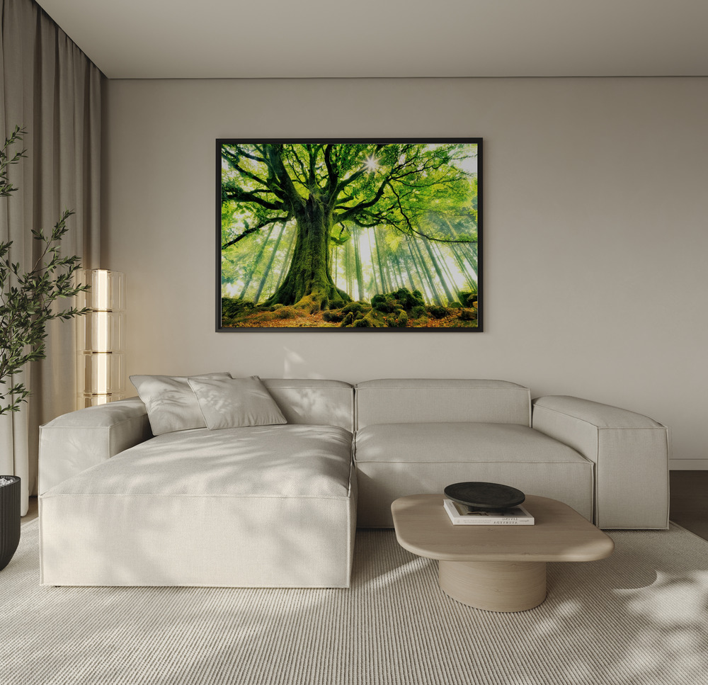 Canvas schilderi - Ponthus' Beech over de bank